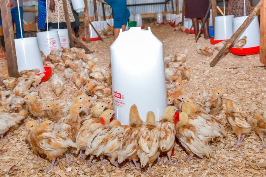Produits agroalimentaires Kayanki